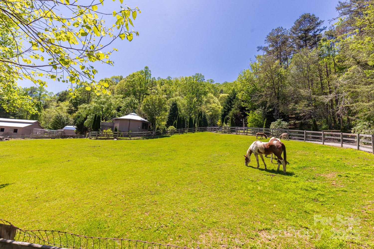 89 Weeping Cherry Forest Road Fairview, NC 28730 - Photo 5 of 15 a view of a lake view