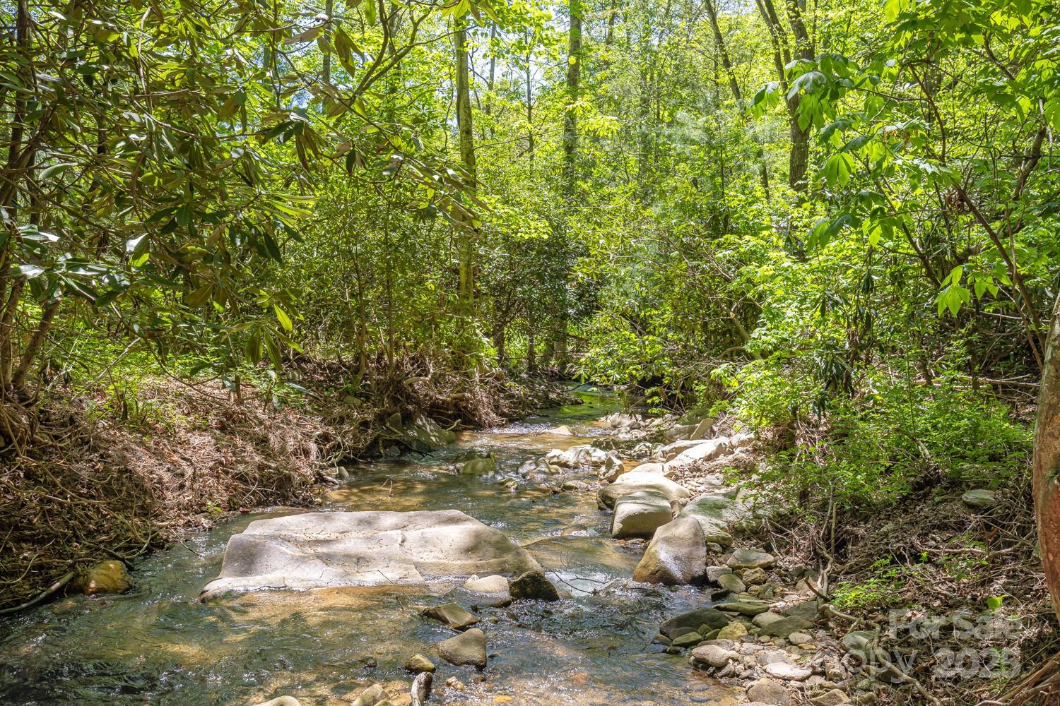 89 Weeping Cherry Forest Road Fairview, NC 28730 - Photo 6 of 15 a view of a yard with plants and large trees