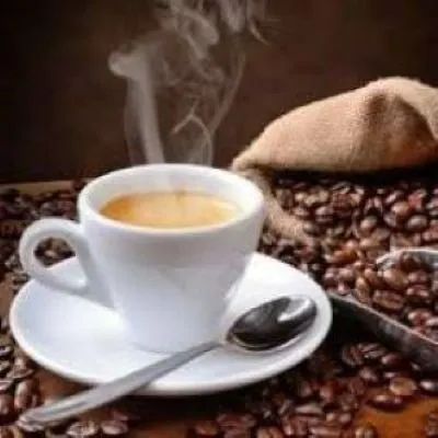 $1,700 | 111 Mc Phail Street, Tomball, TX 77375