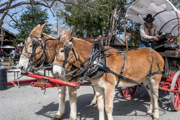 $1,700 | 111 Mc Phail Street, Tomball, TX 77375