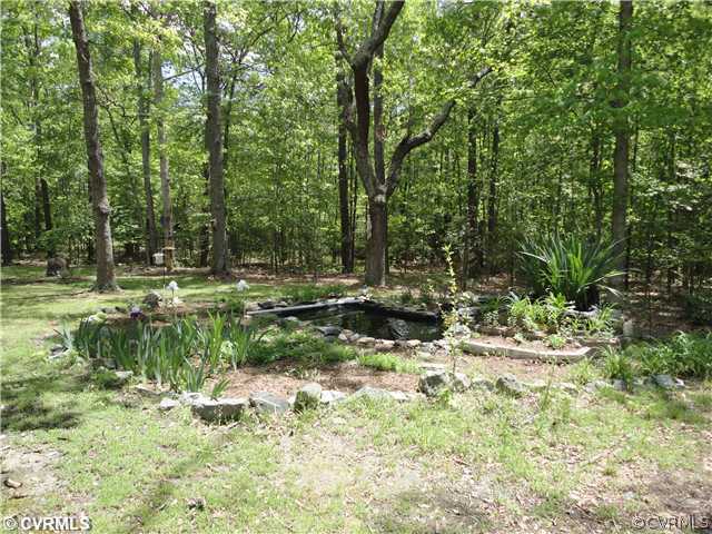 4811 Waymacks Road Charles City, VA 23030 - Photo 3 of 9 Yard/Garden