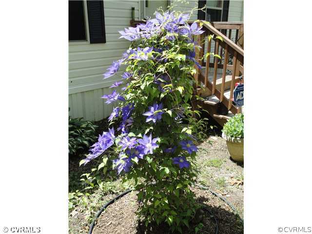 4811 Waymacks Road Charles City, VA 23030 - Photo 4 of 9 Yard/Garden