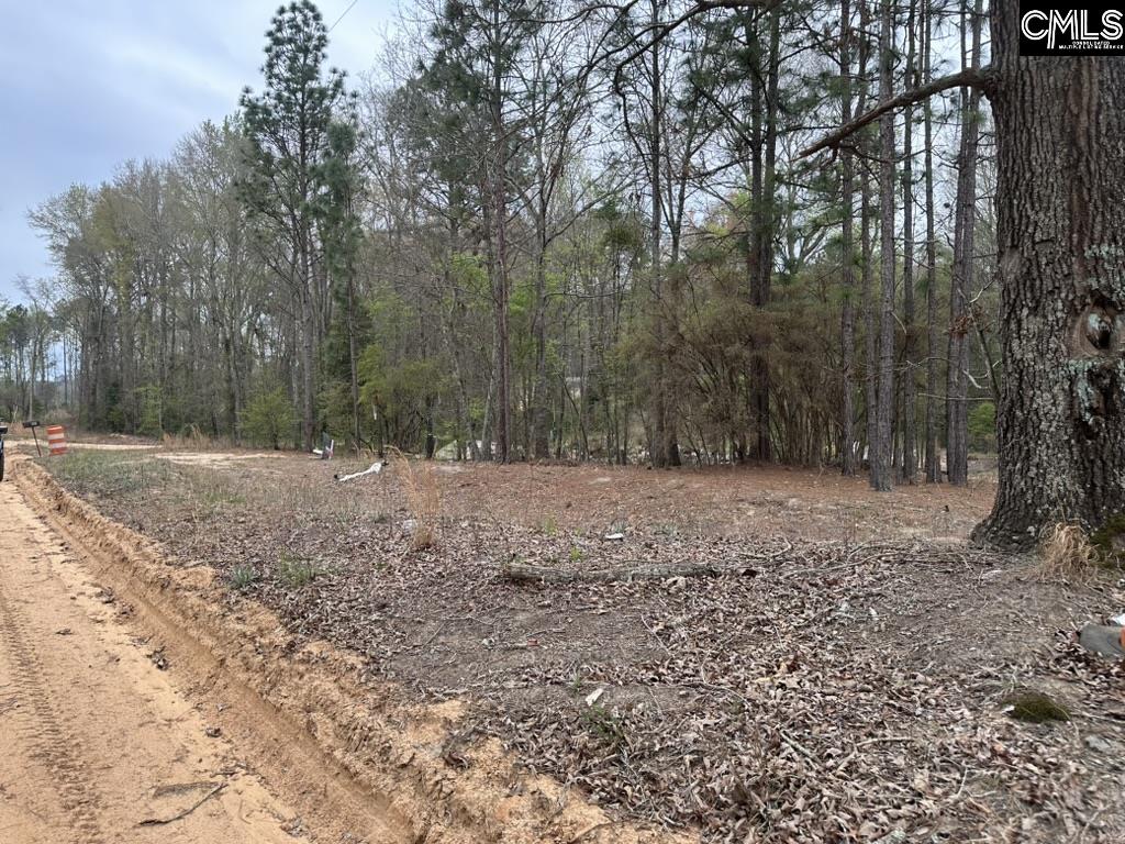 344 Terry Road Pelion, SC 29123 - Photo 2 of 9