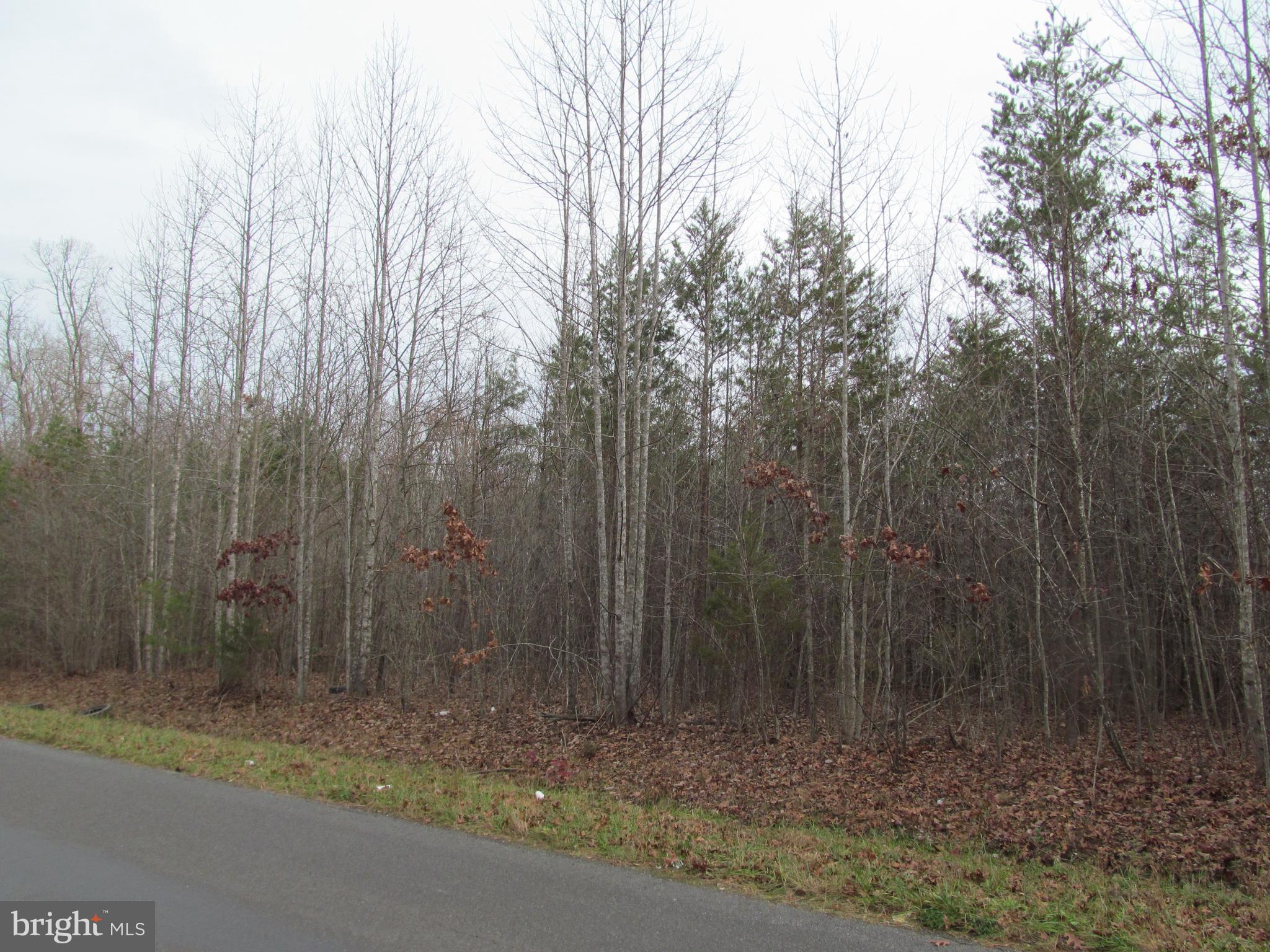 0 Black Walnut Run Road Rhoadesville, VA 22542 - Photo 1 of 1 Gallery Image 1