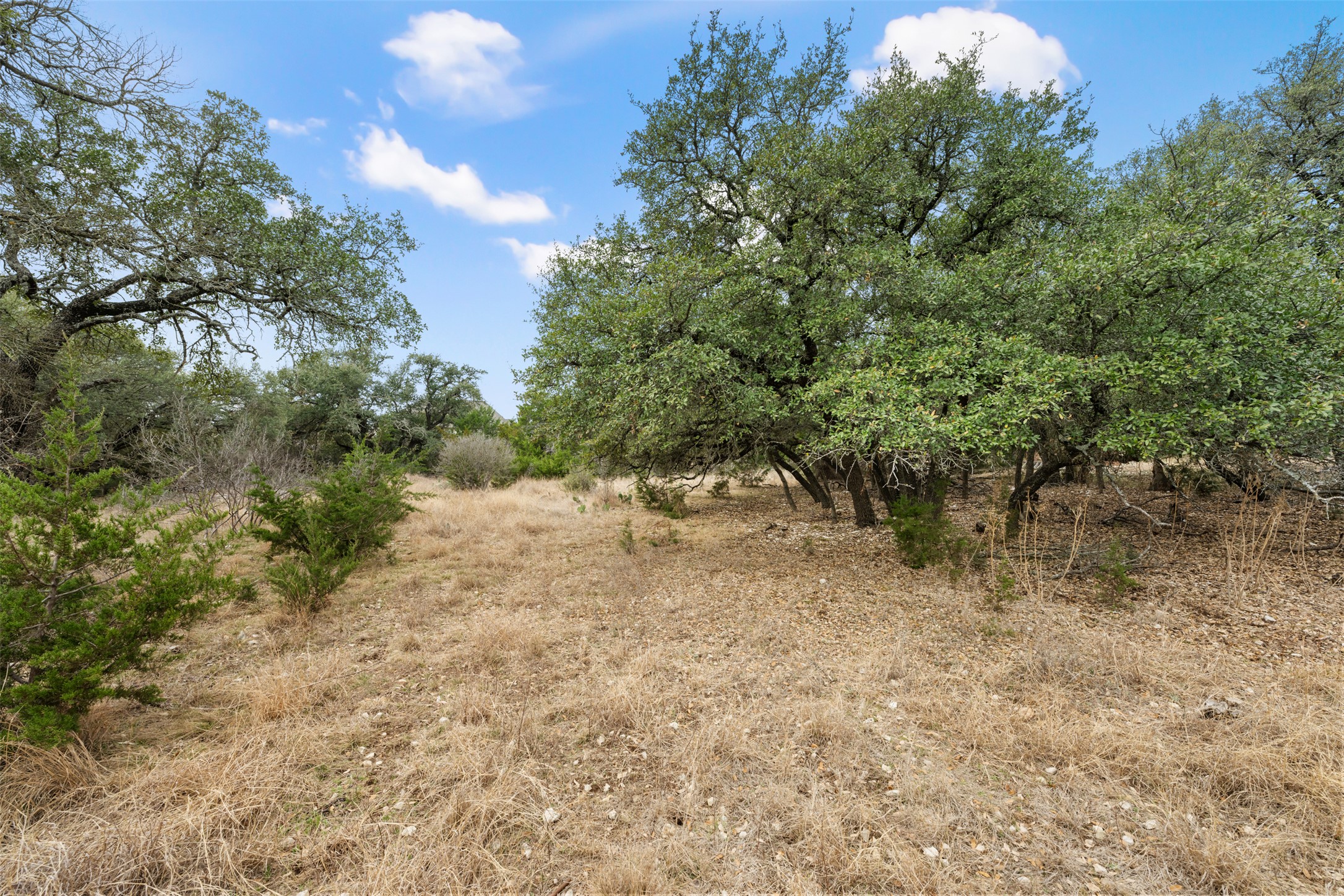408 Ridge View Drive Georgetown, TX 78628 - Photo 2 of 23