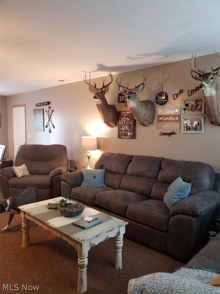 2000 Griggs Road Jefferson, OH 44047 - Photo 11 of 15 Gallery Image 11