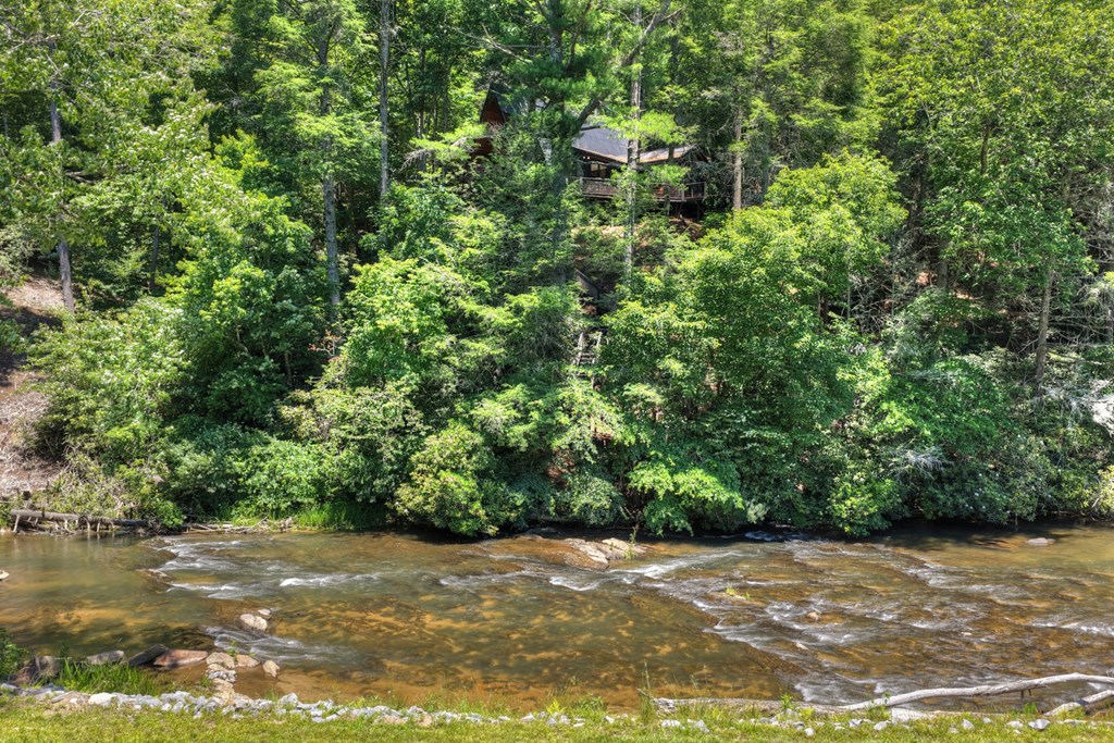 1027 Power Dam Road Blue Ridge, GA 30513 - Photo 82 of 84 Gallery Image 82