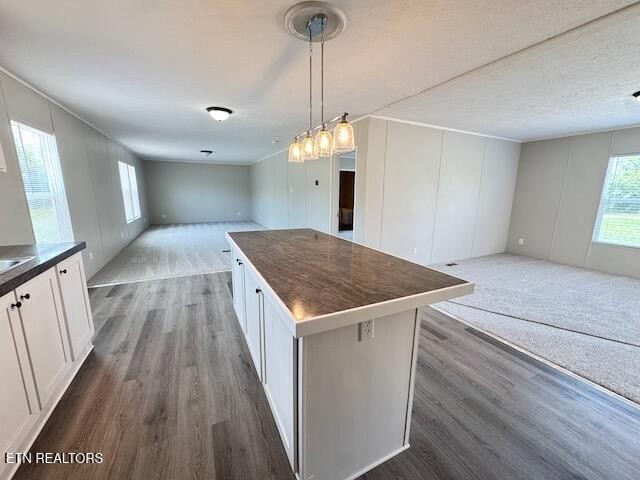1670 Goodfield Road Decatur, TN 37322 - Photo 3 of 42