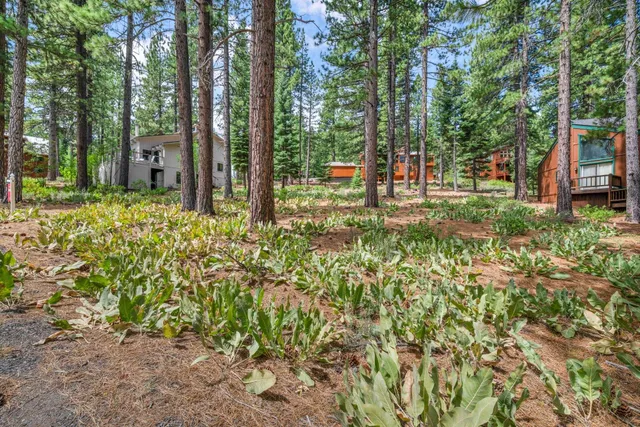 $459,000 | 139 Basque Drive, Truckee, CA 96161