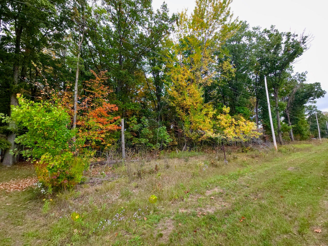 335-336 North Reserve Road Roscommon, MI 48653 - Photo 4 of 5 HARDWOODS