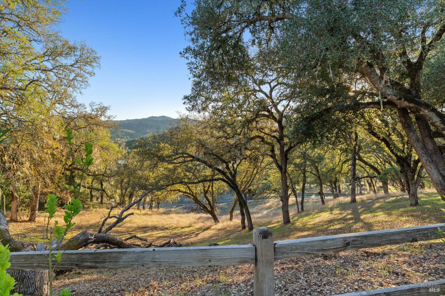 27770 Asti Road Cloverdale, CA 95425 - Photo 26 of 35 a view of a yard with large tree