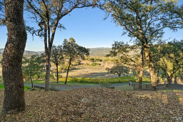 a view of outdoor space with trees