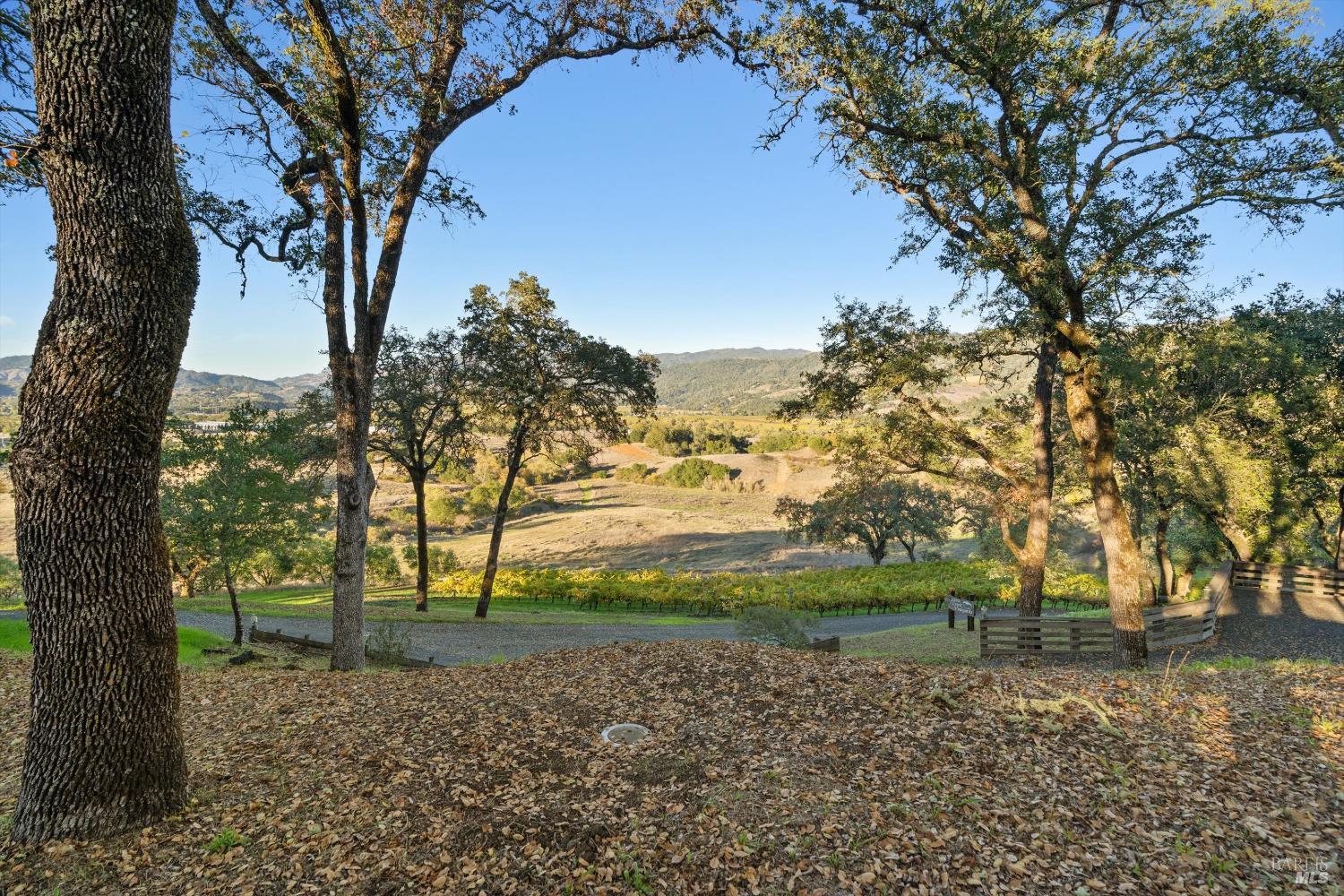 27770 Asti Road Cloverdale, CA 95425 - Photo 9 of 35 a view of outdoor space with trees