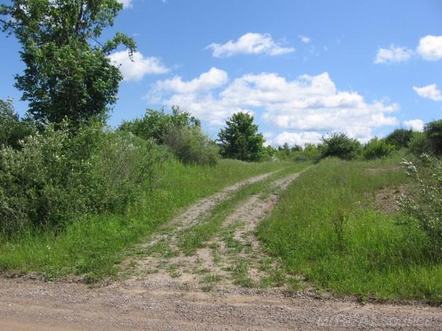 Tbd Burns Line Croswell, MI 48422 - Photo 15 of 19
