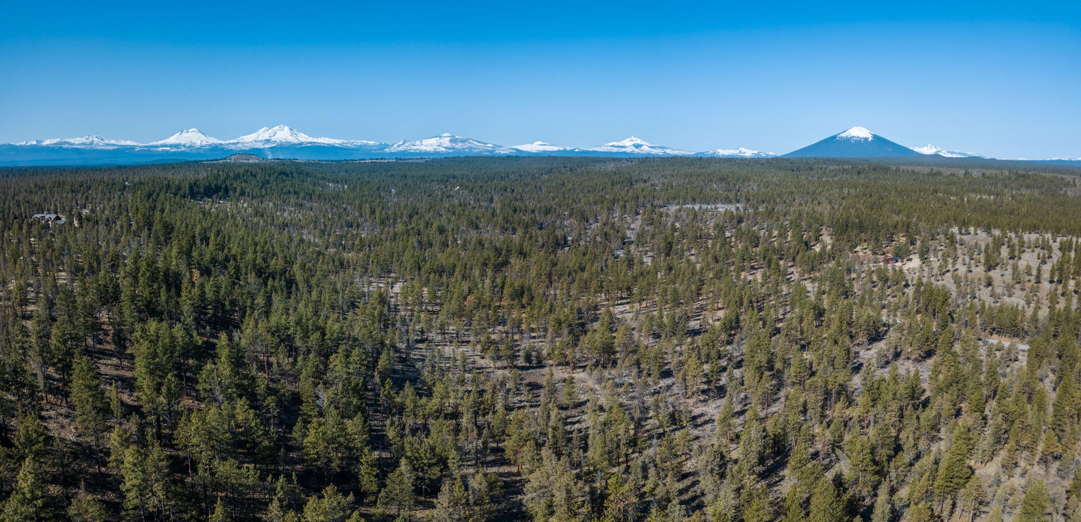 17515 Wilt Road Sisters, OR 97759 - Photo 6 of 14 Ponderosa Pines