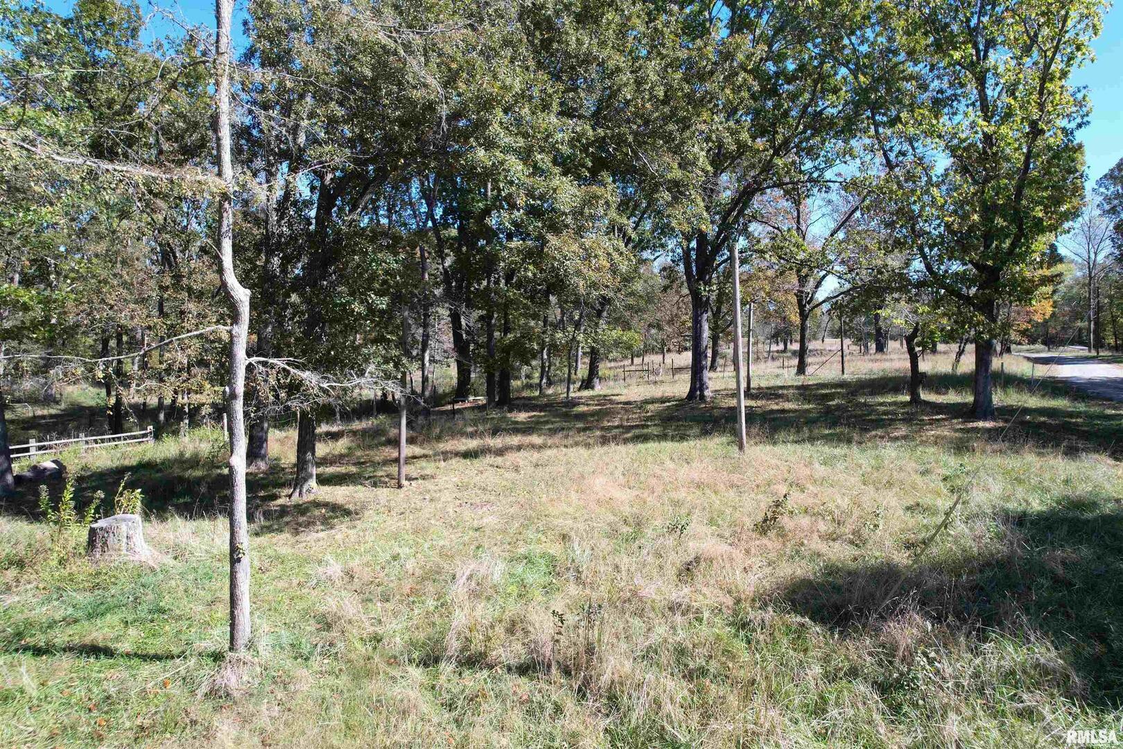 0 Lusk Road Golconda, IL 62938 - Photo 2 of 10 a backyard of a house with lots of green space