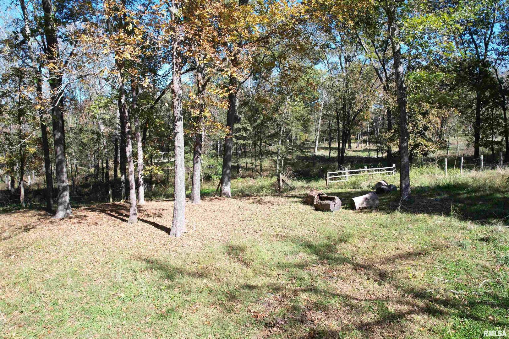 0 Lusk Road Golconda, IL 62938 - Photo 5 of 10