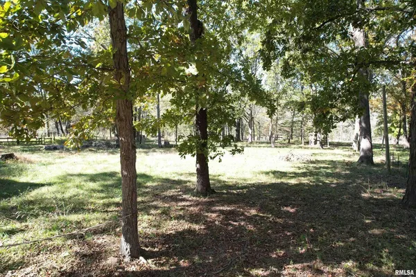 a view of yard with tree