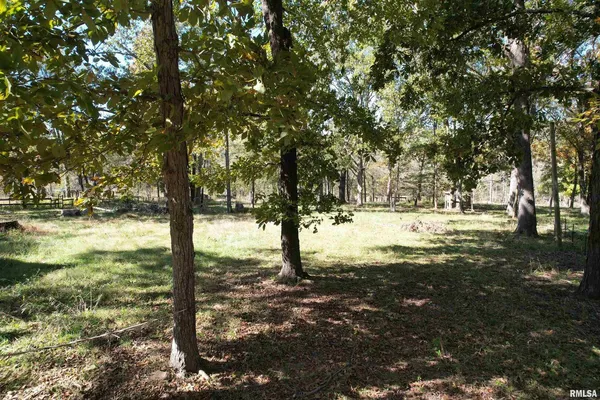 a view of a yard with large trees