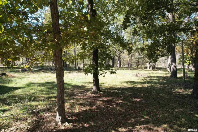 a view of a yard with large trees