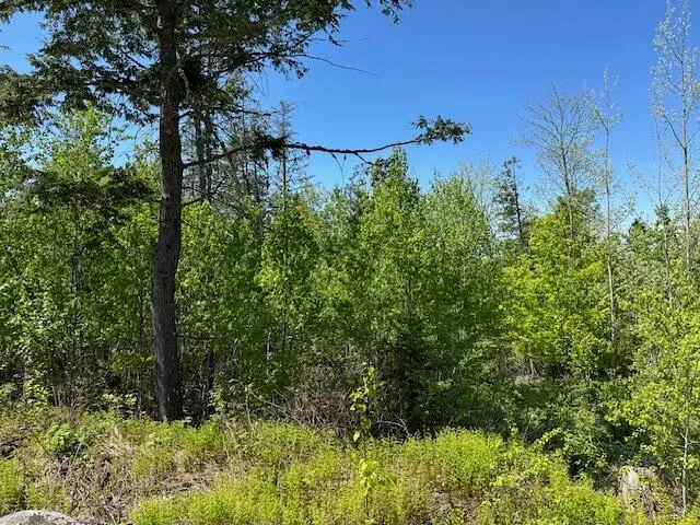 $79,000 | Lot 4 Mt Jefferson Heights, Lee, ME 04455