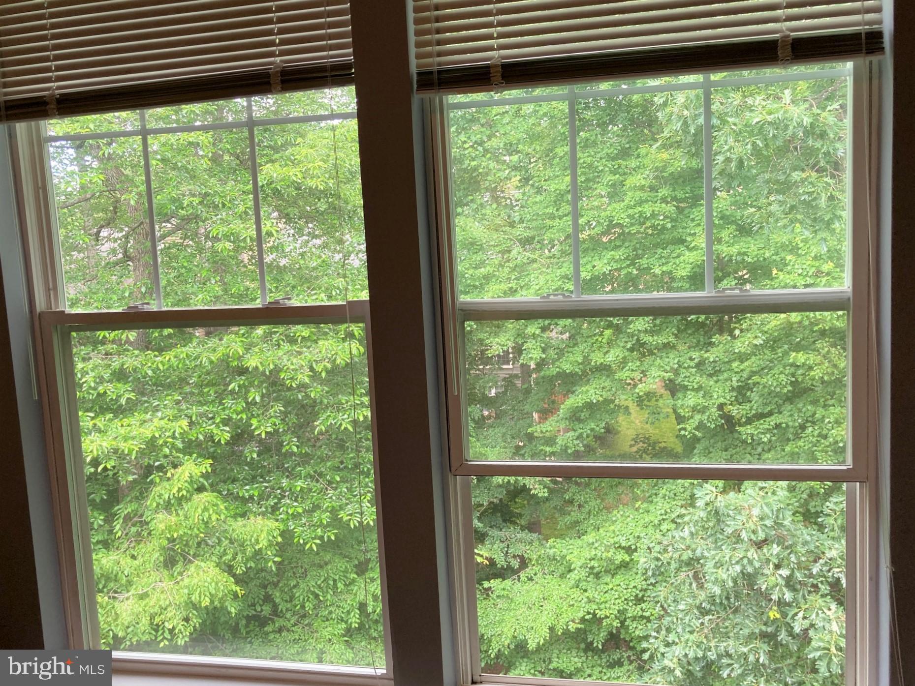 1509 North Point Drive, Unit 303 Reston, VA 20194 - Photo 17 of 30 Second bedroom view!