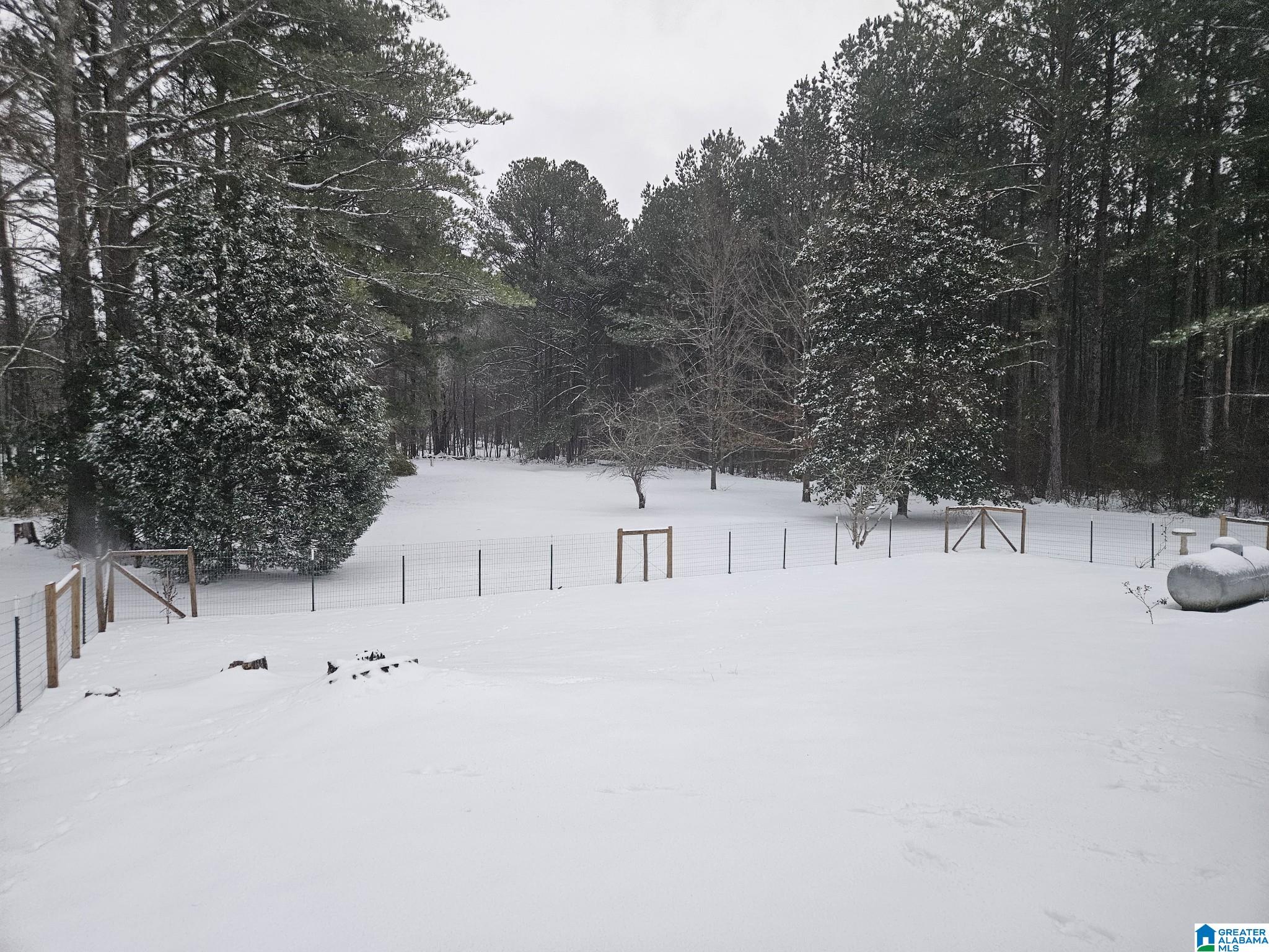 1809 Blue Ridge Road Lineville, AL 36266 - Photo 5 of 69