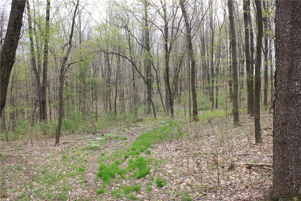 Lot 4 Fallecker Road Butler, PA 16002 - Photo 1 of 9
