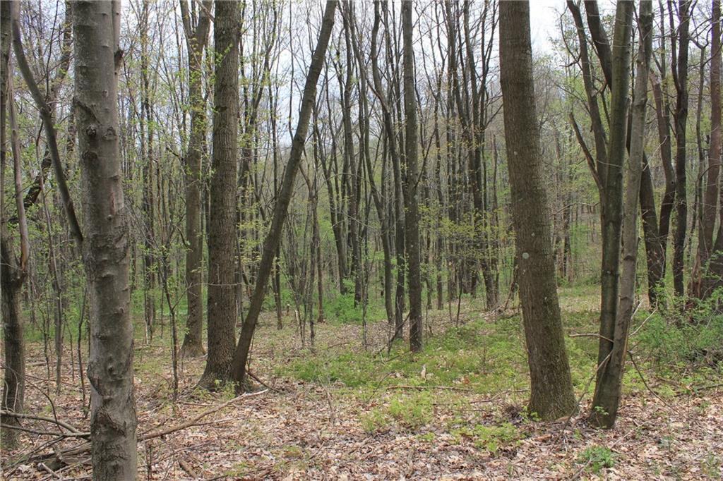 Lot 4 Fallecker Road Butler, PA 16002 - Photo 2 of 9