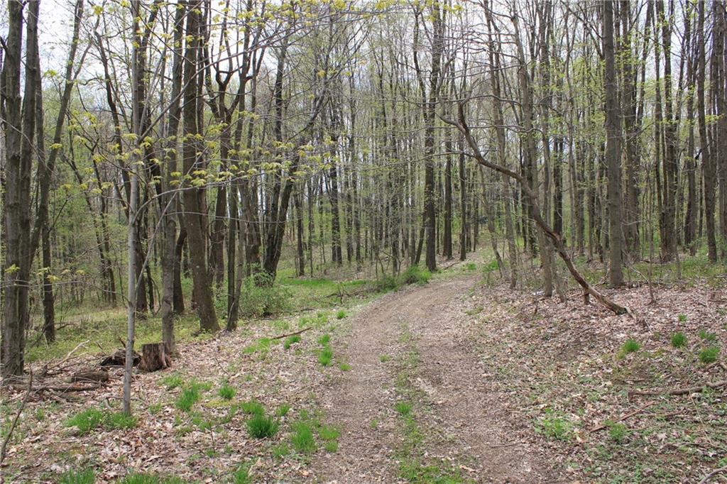 Lot 4 Fallecker Road Butler, PA 16002 - Photo 3 of 9