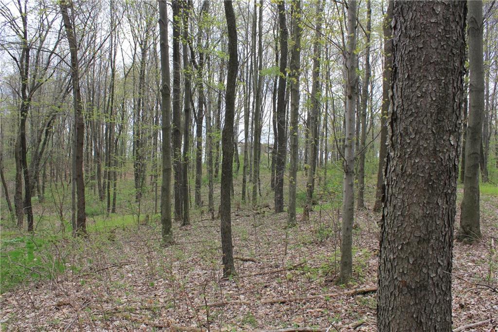 Lot 4 Fallecker Road Butler, PA 16002 - Photo 4 of 9
