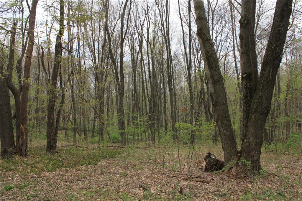 Lot 4 Fallecker Road Butler, PA 16002 - Photo 5 of 9