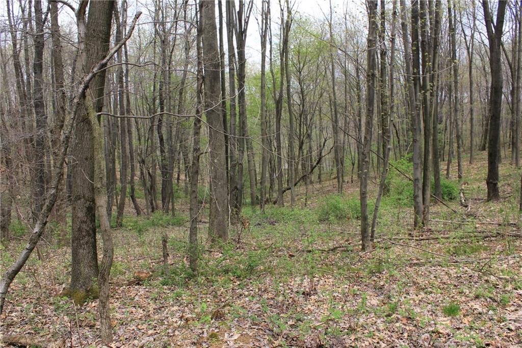 Lot 4 Fallecker Road Butler, PA 16002 - Photo 6 of 9