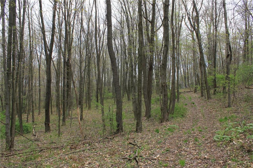 Lot 4 Fallecker Road Butler, PA 16002 - Photo 7 of 9
