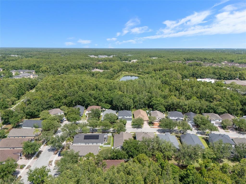 16230 Nottingham Road Tampa, FL 33647 - Photo 54 of 58 Gallery Image 54