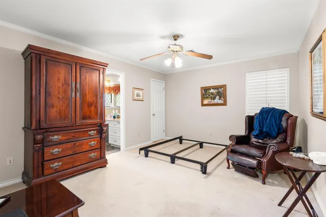 a bathroom with a shower and a toilet