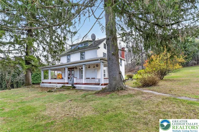 a living room that has a couch and a potted plant