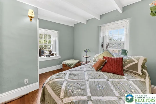 a view of a park with large trees