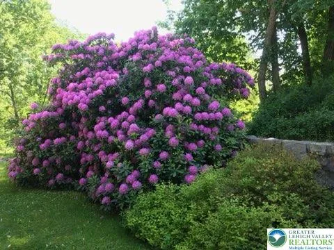 $497,000 | 297 Forgedale Road, Barto, PA 19504