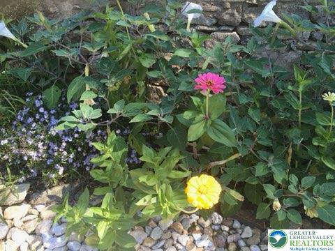 297 Forgedale Road Barto, PA 19504 - Photo 69 of 73 Gallery Image 69