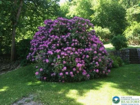 $497,000 | 297 Forgedale Road, Barto, PA 19504