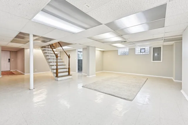 a view of a backyard with plants and large tree
