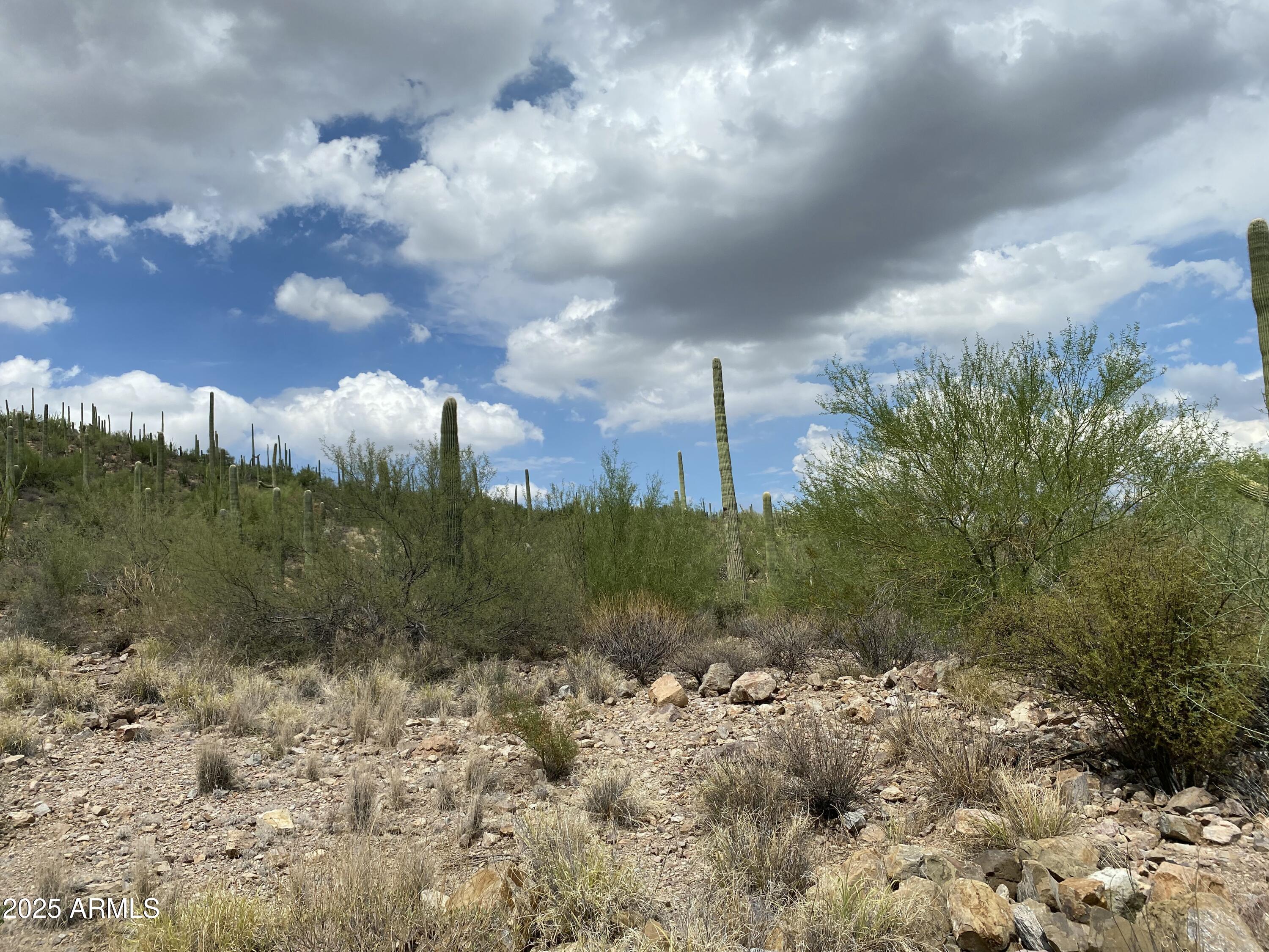 475 South Hotel Service Road Tucson, AZ 85745 - Photo 11 of 62 a view of a city with trees in the background