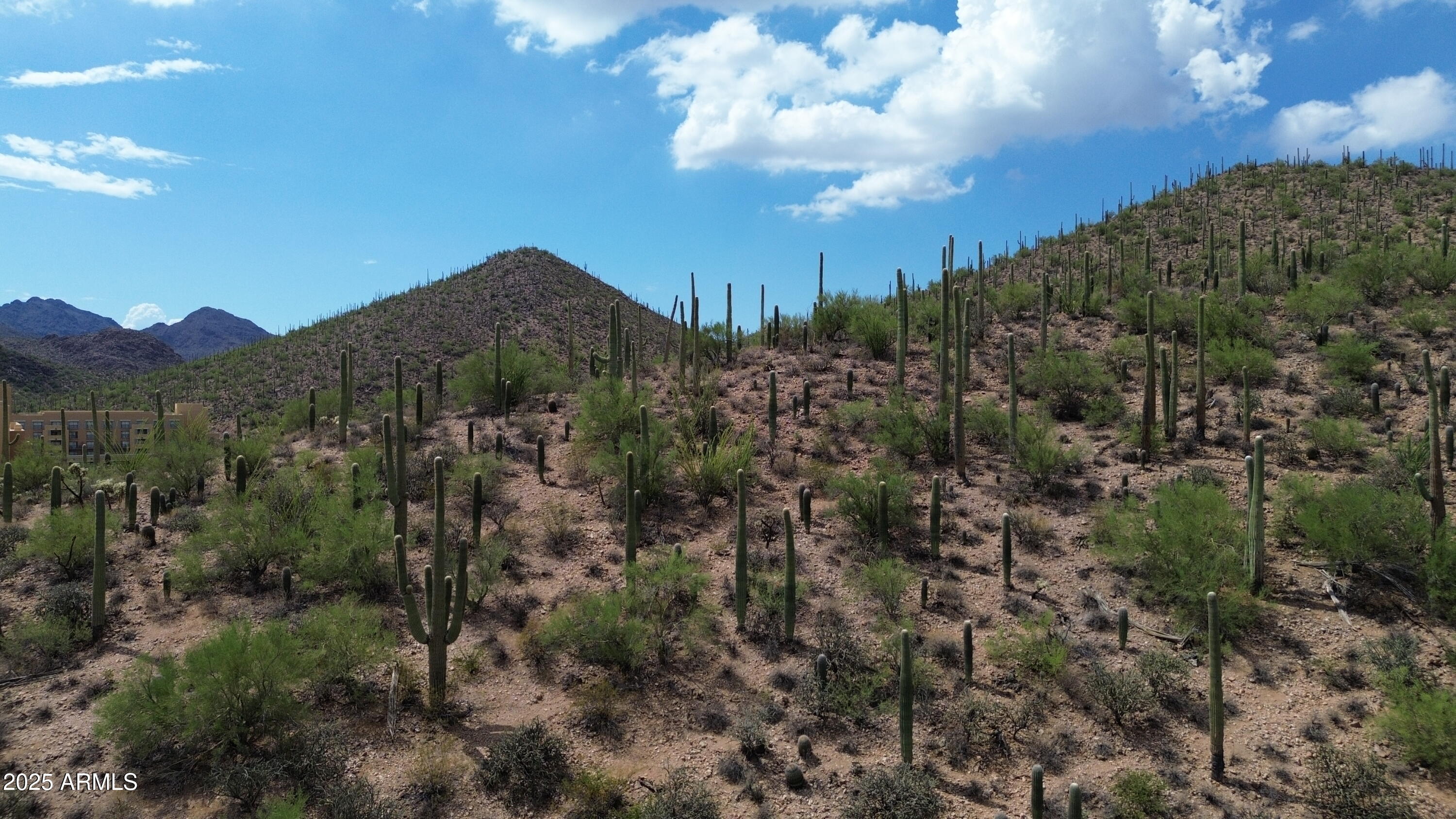 475 South Hotel Service Road Tucson, AZ 85745 - Photo 12 of 62 DJI_0787