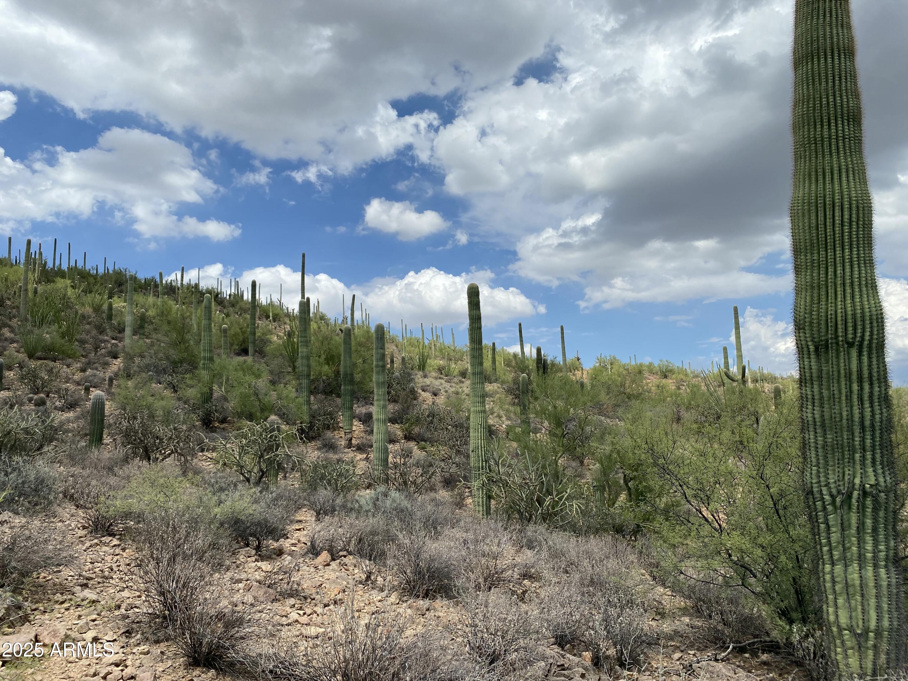475 South Hotel Service Road Tucson, AZ 85745 - Photo 16 of 62 a view of a city with green space