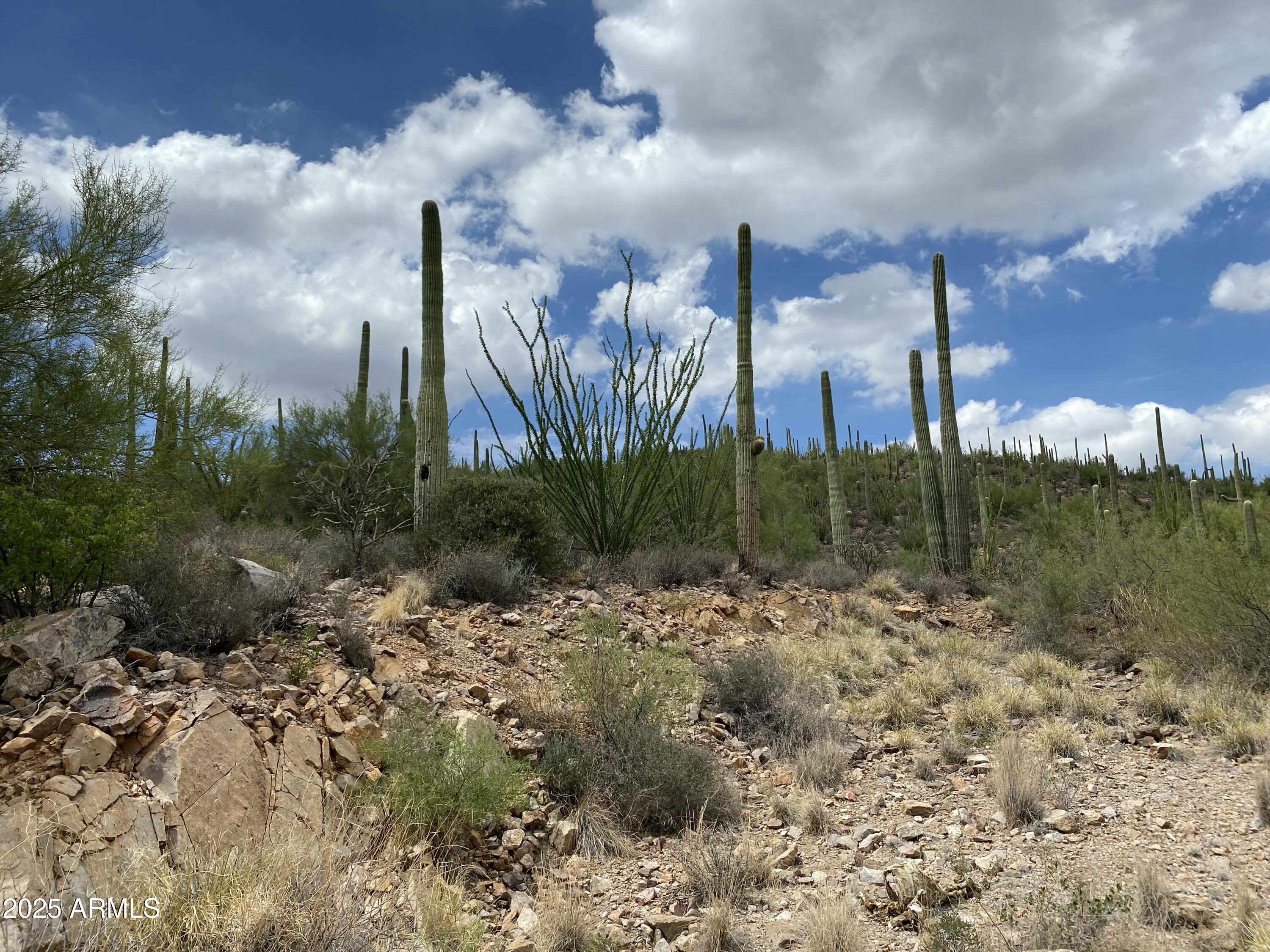 475 South Hotel Service Road Tucson, AZ 85745 - Photo 19 of 62 a view of a city with large trees