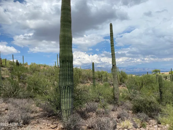 a view of a city with lots of houses