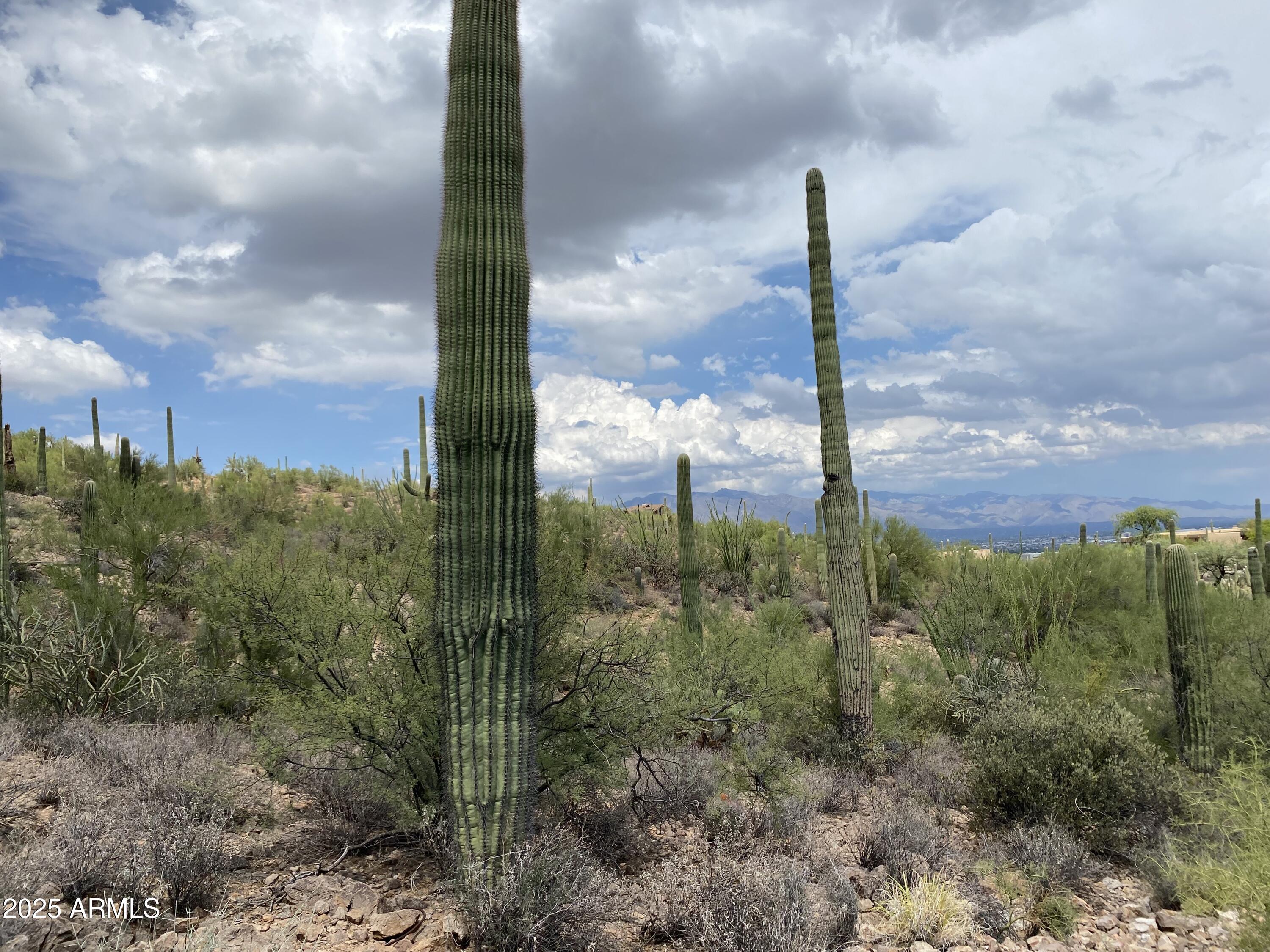 475 South Hotel Service Road Tucson, AZ 85745 - Photo 22 of 62 a view of a city