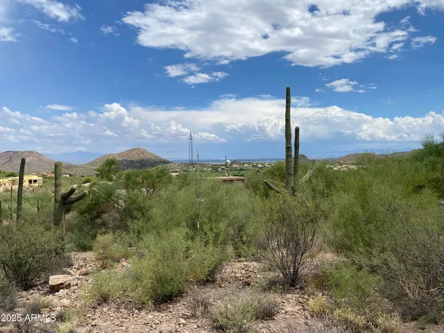 a view of a dry yard with mountains in the background