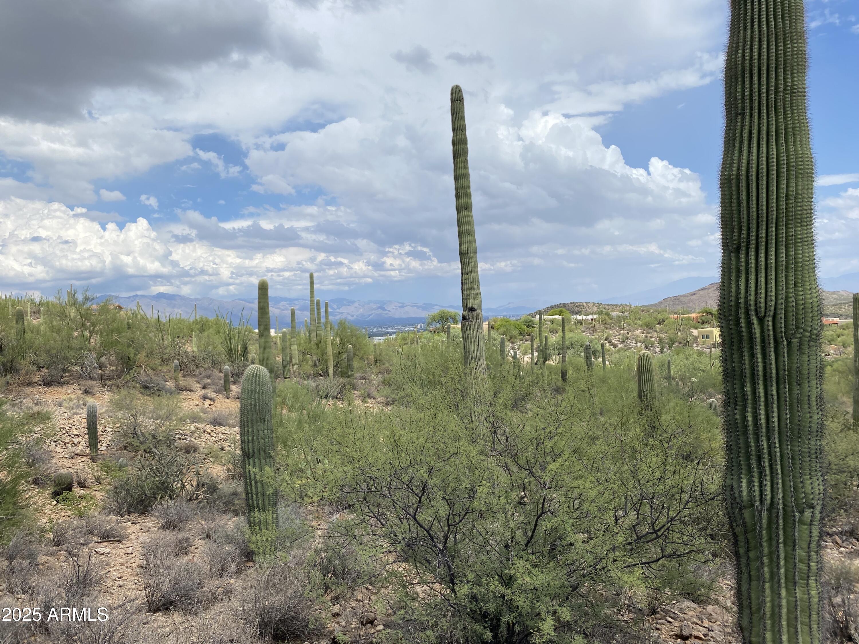 475 South Hotel Service Road Tucson, AZ 85745 - Photo 27 of 62 a view of a city